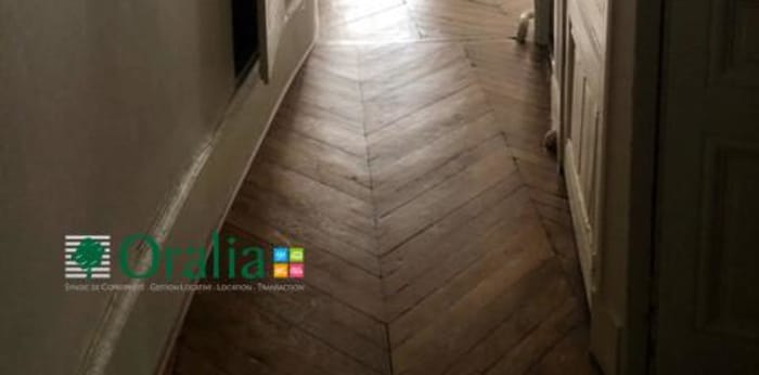 Image 4 sur 11 - Appartement  ·  Location · Lyon (69002) · 5 pièces · 107m²