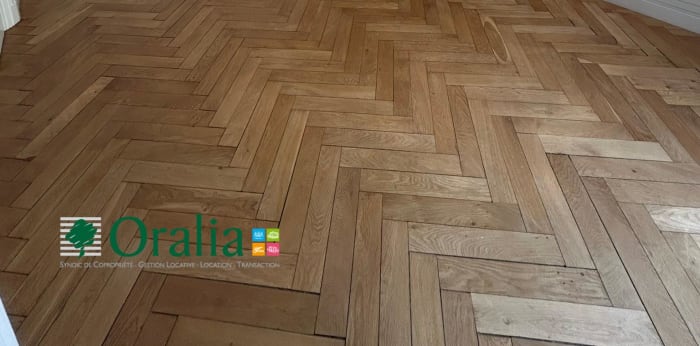 Image 7 sur 27 - Appartement  ·  Location · Lyon (69006) · 7 pièces · 235m²