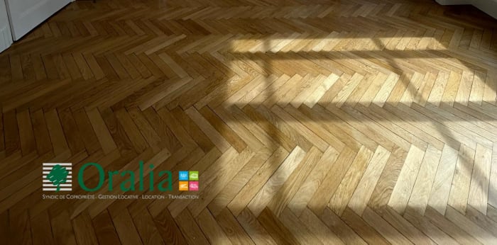 Image 1 sur 20 - Appartement  ·  Location · Lyon (69006) · 2 pièces · 89m²