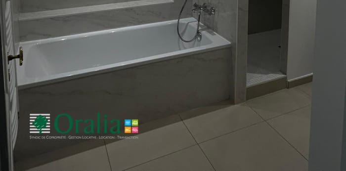 Image 15 sur 27 - Appartement  ·  Location · Lyon (69006) · 7 pièces · 235m²