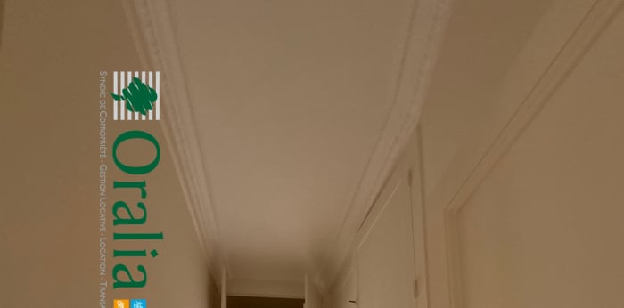 Image 11 sur 21 - Appartement  ·  Location · Paris (75006) · 6 pièces · 172m²