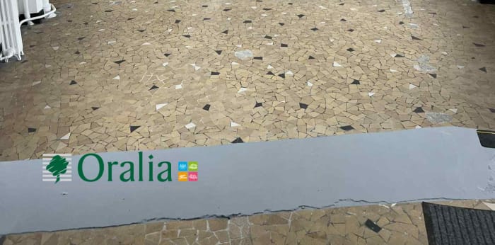 Image 12 sur 13 - Local commercial  ·  Location · Paris (75019) · 102m²