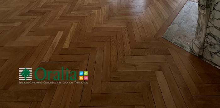 Image 9 sur 27 - Appartement  ·  Location · Lyon (69006) · 7 pièces · 235m²