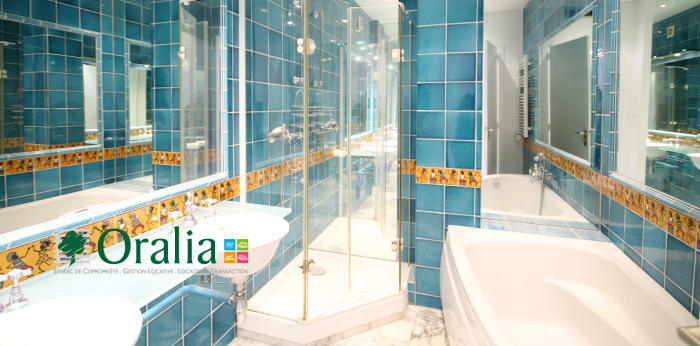 Image 12 sur 17 - Appartement  ·  Location · Grenoble (38000) · 4 pièces · 118m²