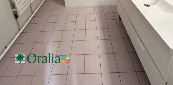 Image 13 sur 16 - Appartement  ·  Location · Lyon (69005) · 4 pièces · 115m²