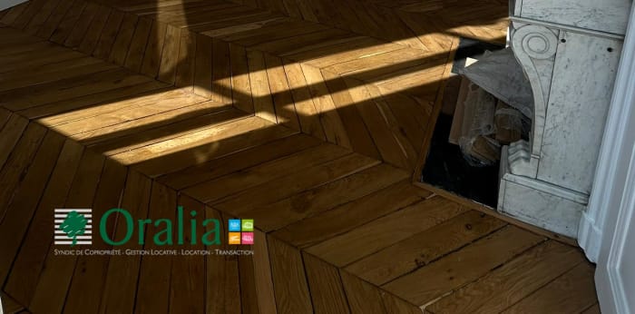 Image 4 sur 18 - Appartement  ·  Location · Lyon (69002) · 4 pièces · 109m²