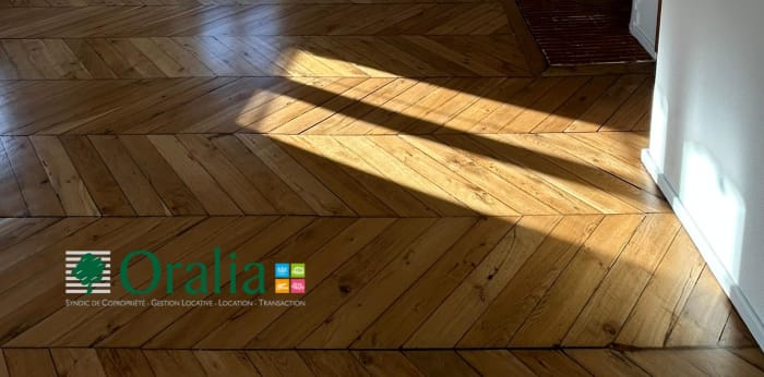 Image 9 sur 10 - Appartement  ·  Location · Lyon (69002) · 1 pièce · 37m²