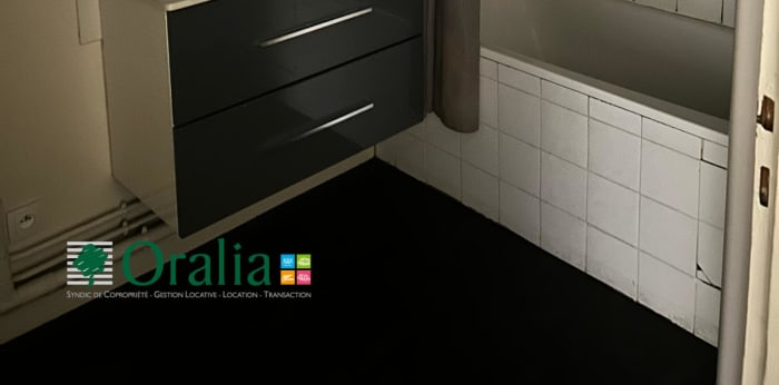 Image 16 sur 17 - Appartement  ·  Location · Saint Cyr Au Mont D Or (69450) · 3 pièces · 60m²