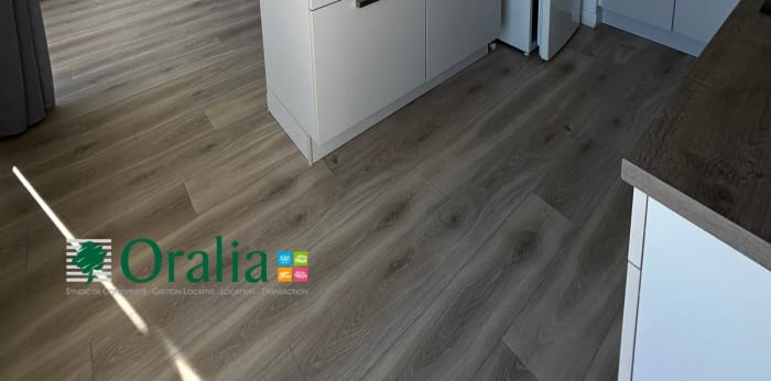 Image 6 sur 17 - Appartement  ·  Location · Lyon (69007) · 2 pièces · 50m²