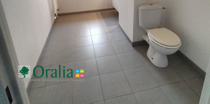 Image 6 sur 8 - Appartement  ·  Location · Hellemmes Lille (59260) · 2 pièces · 52m²