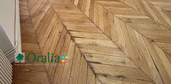 Image 2 sur 16 - Appartement  ·  Location · Lyon (69005) · 4 pièces · 115m²