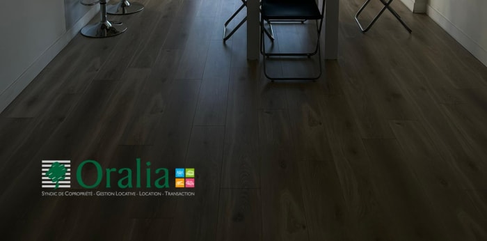 Image 4 sur 17 - Appartement  ·  Location · Lyon (69007) · 2 pièces · 50m²