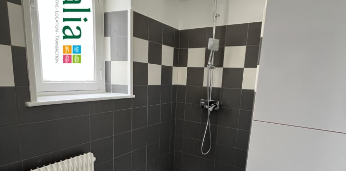 Image 12 sur 17 - Appartement  ·  Location · Grenoble (38000) · 5 pièces · 128m²