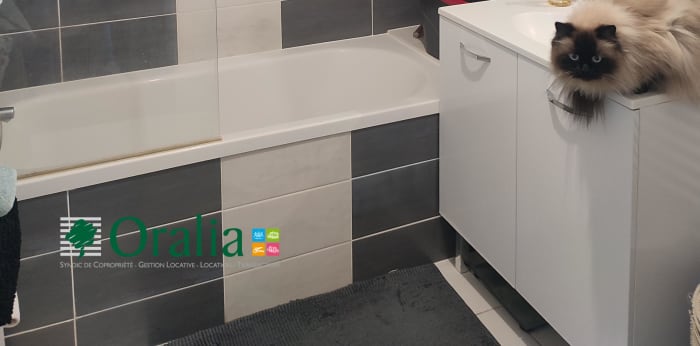 Image 7 sur 9 - Appartement  ·  Location · Dijon (21000) · 3 pièces · 54m²