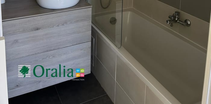 Image 16 sur 17 - Appartement  ·  Location · Lyon (69007) · 2 pièces · 50m²