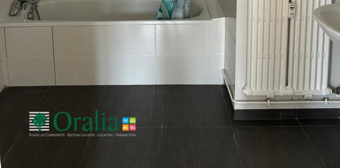 Image 9 sur 20 - Appartement  ·  Location · Lyon (69006) · 2 pièces · 89m²