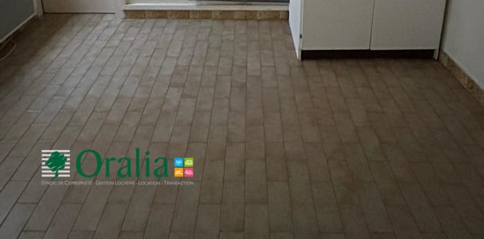 Image 3 sur 12 - Appartement  ·  Location · Lyon (69007) · 1 pièce · 23m²