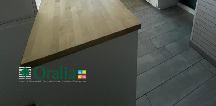 Image 1 sur 6 - Appartement  ·  Location · Belleville En Beaujolais (69220) · 2 pièces · 51m²