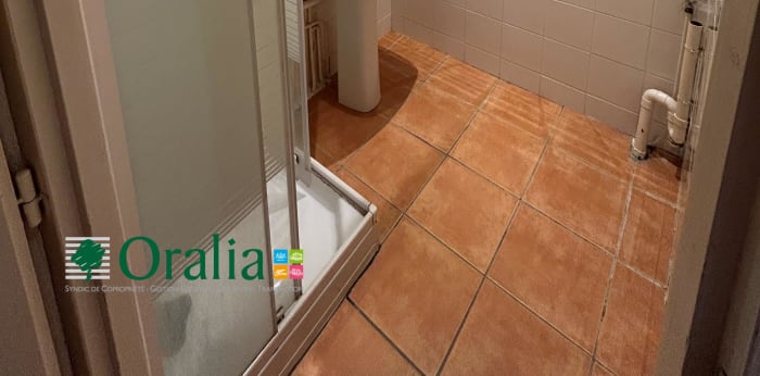 Image 5 sur 7 - Appartement  ·  Location · Lyon (69006) · 1 pièce · 37m²