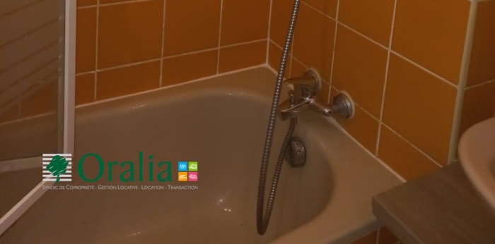 Image 5 sur 8 - Appartement  ·  Location · Paris (75015) · 3 pièces · 53m²