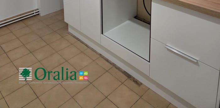 Image 1 sur 6 - Appartement  ·  Location · Lyon 03 (69003) · 52m²