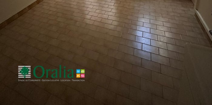 Image 1 sur 12 - Appartement  ·  Location · Lyon (69007) · 1 pièce · 23m²