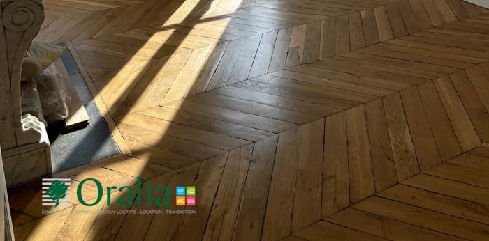 Image 2 sur 18 - Appartement  ·  Location · Lyon (69002) · 4 pièces · 109m²