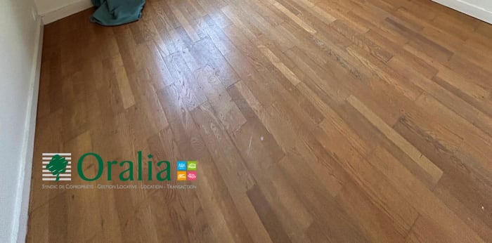 Image 9 sur 16 - Appartement  ·  Location · Lyon (69005) · 4 pièces · 115m²