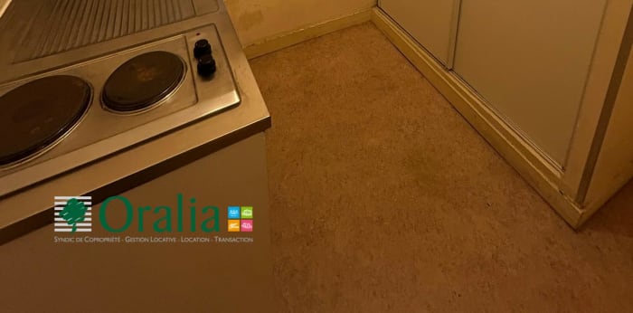 Image 10 sur 11 - Appartement  ·  Location · Lyon (69001) · 2 pièces · 41m²