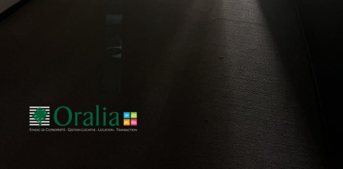 Image 7 sur 7 - Local commercial  ·  Location · Lyon (69003)