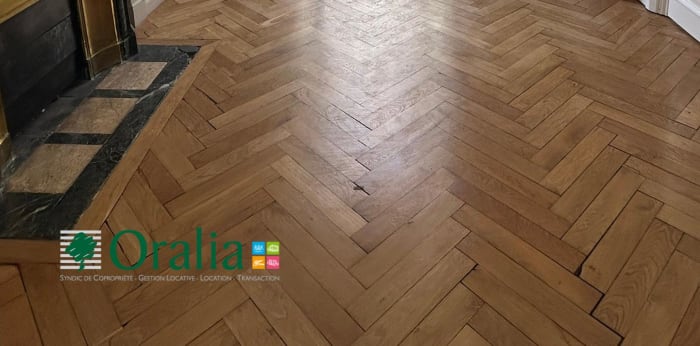 Image 3 sur 27 - Appartement  ·  Location · Lyon (69006) · 7 pièces · 235m²