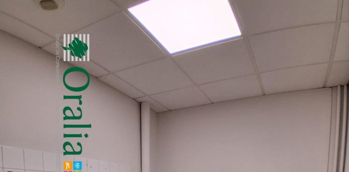 Image 17 sur 24 - Local commercial  ·  Location · Villefranche Sur Saone (69400) · 204m²