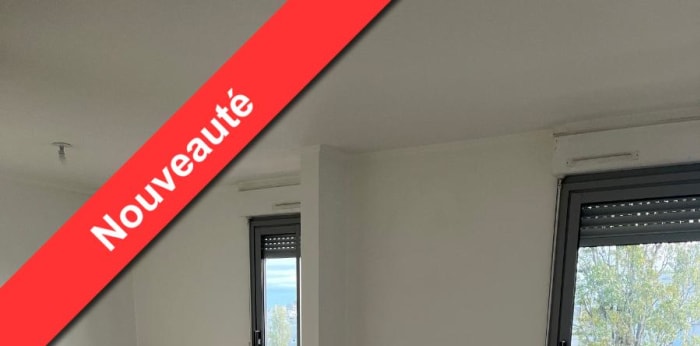 Image 1 sur 11 - Appartement  ·  Location · Villeurbanne (69100) · 4 pièces · 82m²