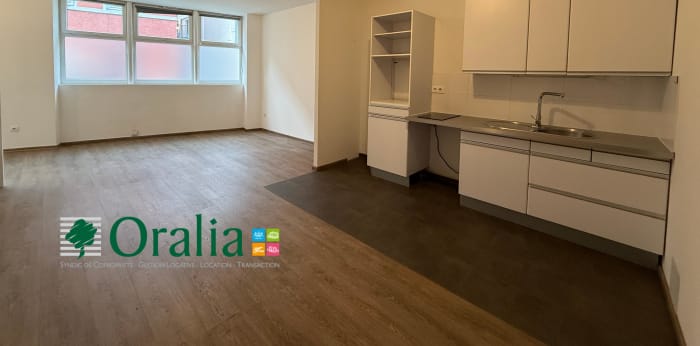 Image 2 sur 11 - Appartement  ·  Location · Tarare (69170) · 2 pièces · 49m²