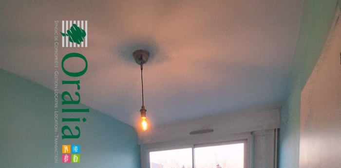 Image 6 sur 8 - Appartement  ·  Location · Villeurbanne (69100) · 2 pièces · 42m²