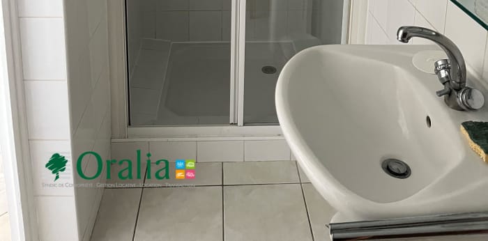 Image 7 sur 10 - Appartement  ·  Location · Lyon (69003) · 2 pièces · 52m²