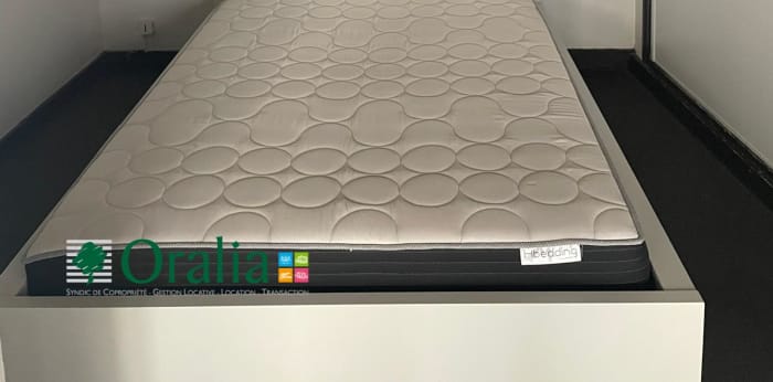 Image 6 sur 11 - Appartement  ·  Location · Lyon (69001) · 1 pièce · 44m²