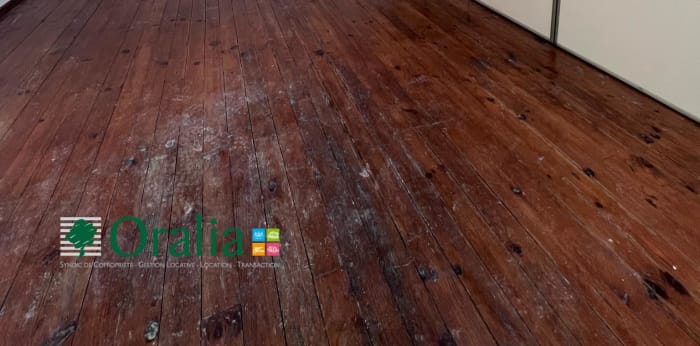 Image 21 sur 23 - Appartement  ·  Location · Antony (92160) · 4 pièces · 69m²