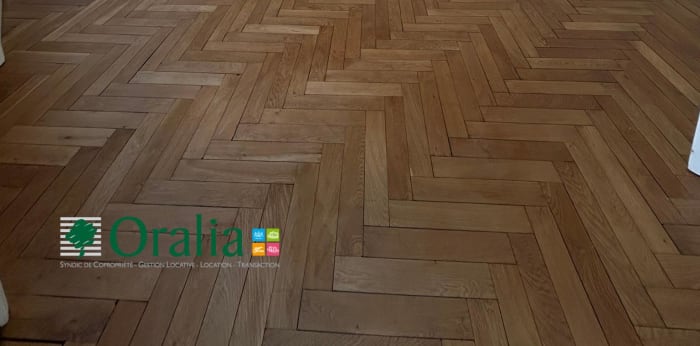 Image 17 sur 27 - Appartement  ·  Location · Lyon (69006) · 7 pièces · 235m²