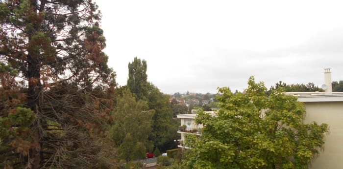 Image 5 sur 8 - Appartement  ·  Location · Chatenay Malabry (92290) · 1 pièce · 26m²