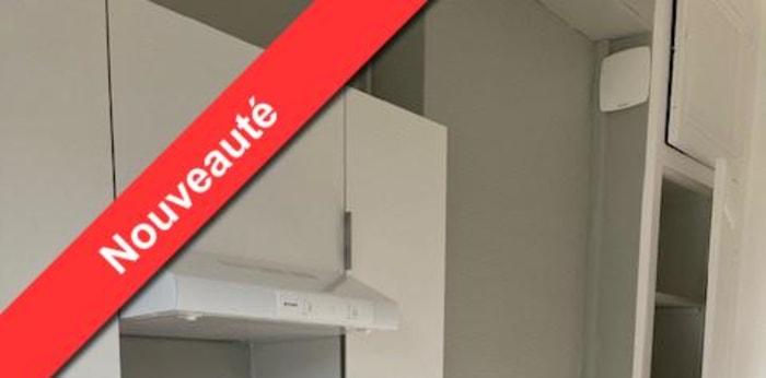 Image 13 sur 19 - Appartement  ·  Location · Lyon (69003) · 3 pièces · 102m²