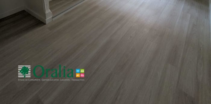 Image 8 sur 12 - Appartement  ·  Location · Lyon (69002) · 4 pièces · 104m²