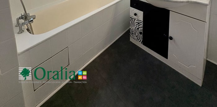 Image 5 sur 10 - Appartement  ·  Location · Paris (75019) · 2 pièces · 54m²