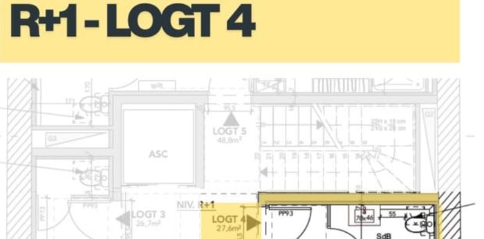 Image 11 sur 11 - Appartement  ·  Location · Tarare (69170) · 1 pièce · 27m²