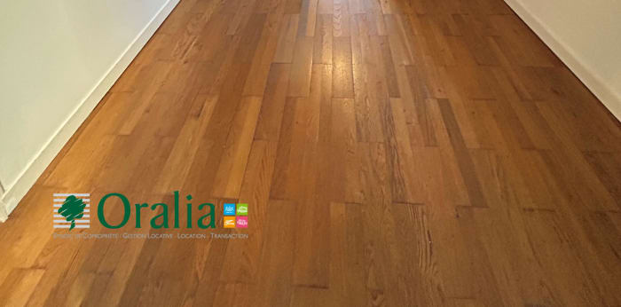 Image 7 sur 16 - Appartement  ·  Location · Lyon (69005) · 4 pièces · 115m²