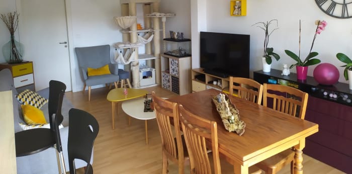 Image 2 sur 6 - Appartement  ·  Location · Mulhouse (68100) · 3 pièces · 69m²