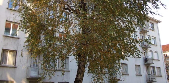 Image 2 sur 4 - Parking/box  ·  Location · Besancon (25000) · 12m²