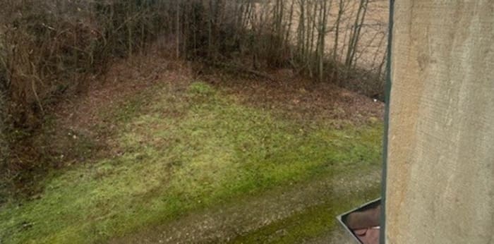 Image 6 sur 15 - Appartement  ·  Location · Hirtzbach (68118) · 3 pièces · 57m²