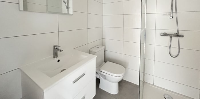 Image 3 sur 5 - Appartement  ·  Location · Selestat (67600) · 1 pièce · 24m²