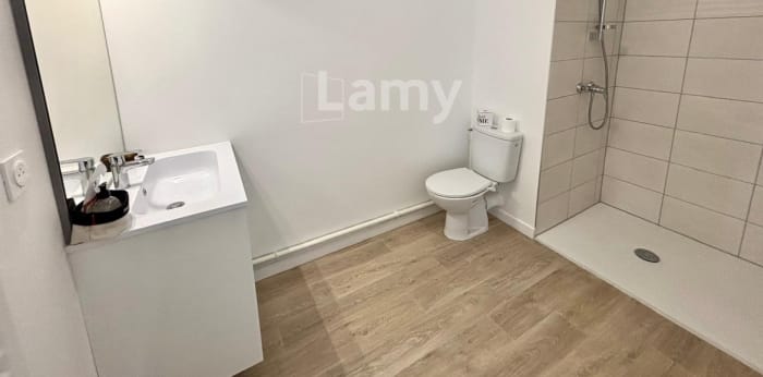 Image 4 sur 4 - Appartement  ·  Location · Lingolsheim (67380) · 1 pièce · 33m²